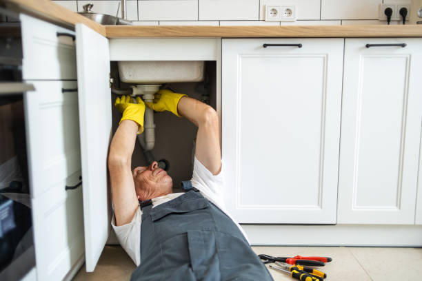 Best Affordable Plumbing Services  in Pinellas Park, FL