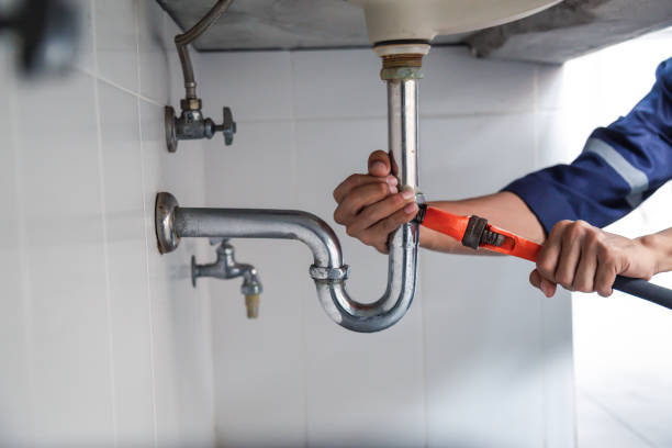 Best Commercial Plumbing Services  in Pinellas Park, FL