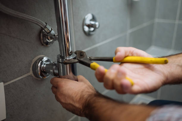 Best Plumbing Services Near Me  in Pinellas Park, FL
