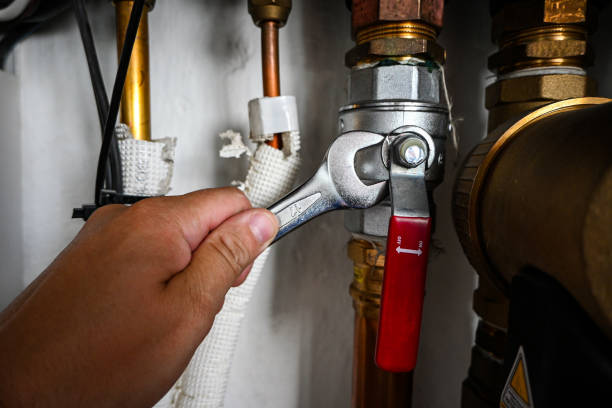 Best Sprinkler Systems  in Pinellas Park, FL